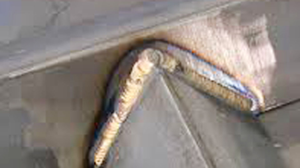 How to TIG Weld Silicon Bronze