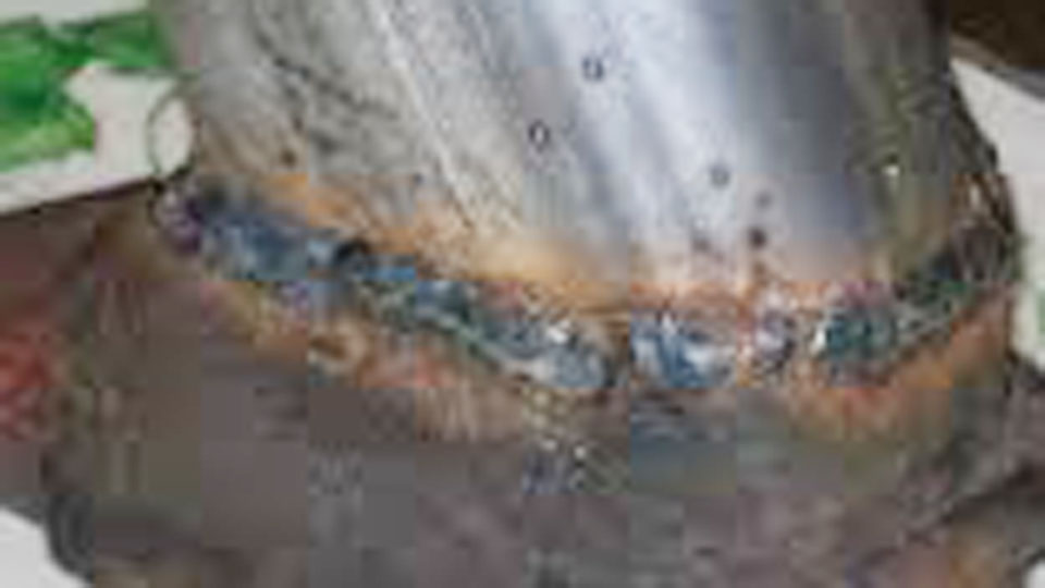 How to Weld Cast Iron to Mild Steel